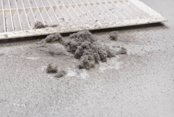 Best Dryer Vent Cleaning Services  in Clever, MO